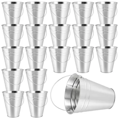 Obrázek produktu pro Omgoods – Sada 20 galvanizovaných mini kbelíků – dekorativní květináče pro kaktusy a květiny