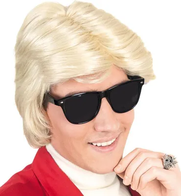 Produktbild von Perücke Heini Heino Rockstar für Erwachsene Halloween Karneval Fasching Party