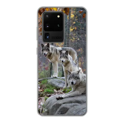 Produktbild von MuchoWow® Handyhülle Schutzhülle Hülle für Samsung Galaxy S20 Ultra Wölfe - Fels - Wald Silikon Softcase Handy Hülle - Karteninhaber