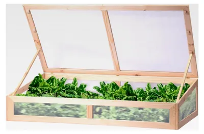 Produktbild von Frühbeet-Aufsatz | Anzuchtkasten für Hochbeete oder Gartenboden | Massivholz Frühbeet-Kasten für Gemüse, Salate und Beeren | Gewächshaus | 128 x 67 x 31,5 cm | Natur