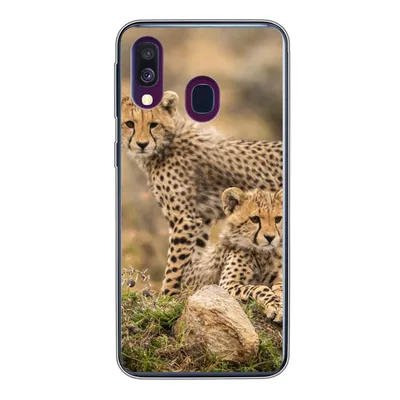 Produktbild von MuchoWow® Handyhülle Schutzhülle Hülle für Samsung Galaxy A40 Leopard - Jungtier - Natur Silikon Softcase Handy Hülle - Handy-Tasche