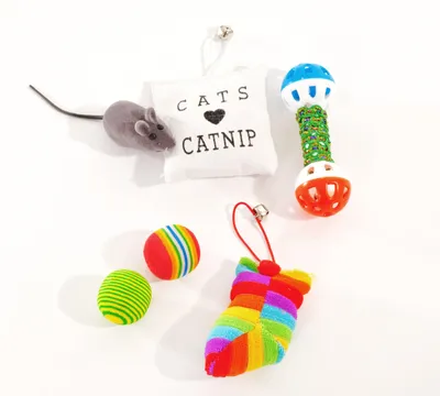 Produktbild von Farbenfrohes Katzen Spielzeugset (6-teilig)