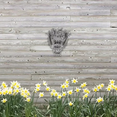 Produktbild von Eleganter Drachenkopf aus Kunstharz als dekorativer Mittelpunkt für einen Wand- und Gartenbrunnen