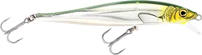 Produktbild von Westin Jerkbite SR 17cm 47g Suspending Headlight Wobbler