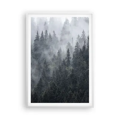 Produktbild von Gerahmtes Poster - Weißer Rahmen - Wald Baum Natur - 70x100 cm - Wand Bild - Wanddeko - Wandbilder - Kunstposter - Wandposter - Bilderrahmen - Bilder - Kunstdruck - Wandbild - P2WPA70x100-4074