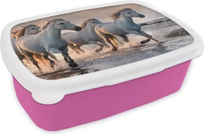 Produktbild von KitchenYeah® Lunchbox Brotzeit Brotdose 17x11 cm Pferde - Wasser - Meer - Frankreich Kinder Brotzeitdose - Lunchpaket - Brotkasten  - Sandwich Box