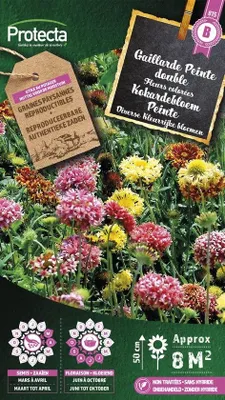 Productafbeelding van Protecta Bloemen zaden: Kokardebloem Peinte | Kobold