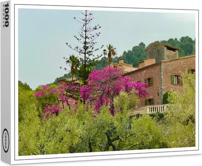 Produktbild von raxxa Premium-Puzzle "Olivenbaum", 1000 Teile