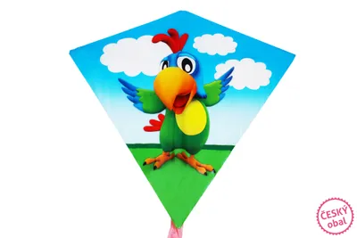 Obrázek produktu pro Létající drak Wiktor 68 x 73 cm - Český obal