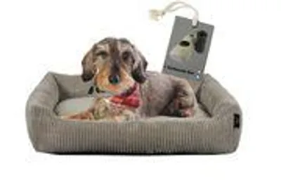 Produktbild von Rohrschneider Hundebett waschbar für kleine und mittelgroße Hunde mit Hundekissen Cord inkl. Gassibeutel, Farbe:taupe, Muster:Cordstoff breit