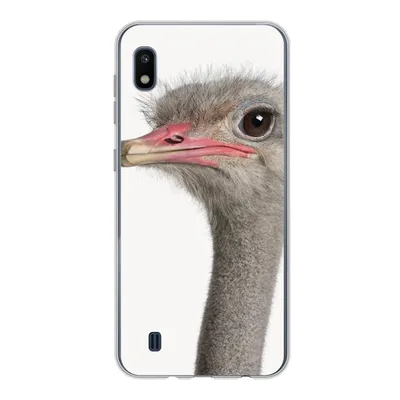 Produktbild von MuchoWow® Handyhülle Schutzhülle Hülle für Samsung Galaxy A10 Strauß - Tiere - Kinder - Jungen - Mädchen - Vogel Silikon Softcase Handy Hülle - Schutzhülle