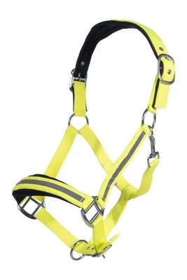 Zdjęcie produktu dla Halfter -Reflective- neon gelb VB