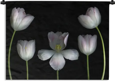 Produktbild von MuchoWow® Wandteppich Wandbehang Weiße Tulpen auf schwarzem Hintergrund 60x45 cm Tapisserie Dekoration Wandtuch - Das Schlafzimmer