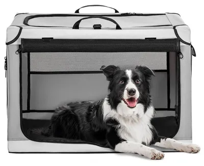 Image de Cage de transport pliable pour chien, idéale pour la maison et la voiture, réglable, couleur gris clair, dimensions : L 76 x l 51 x H 48 cm