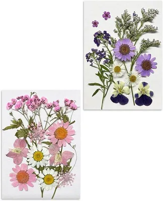 Obrázok produktu pre Allecto Premium – Sada sušených kvetín pre umenie a dekoráciu s epoxidovou živicou – Príslušenstvo pre DIY scrapbooking – Ručne vyrábané dekorácie do domácnosti