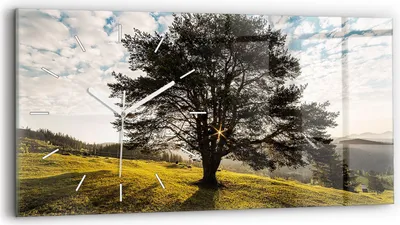 Produktbild von Wallfluent Wanduhr – Stilles Quarzuhrwerk - Uhr Dekoration Wohnzimmer Schlafzimmer Küche - Zifferblatt mit Strichen - weiße Zeiger - 60x30 cm - Baum auf dem Hügel