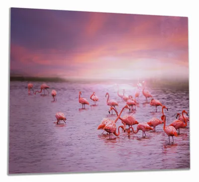 Produktbild von Wallario Herdabdeckplatte aus Glas, Größe 60 x 52 cm 1-teilig, Motiv Rosa Flamingos bei Sonnenuntergang