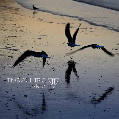 Produktbild von Birds (Digipak)