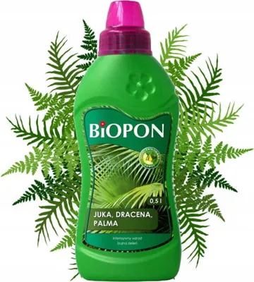Zdjęcie produktu dla Nawóz do juki, draceny, palmy BIOPON 0.5L