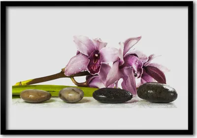 Produktbild von Bild 100x70 MDF-Rahmen Wandkunst Stein Blume Pflanze