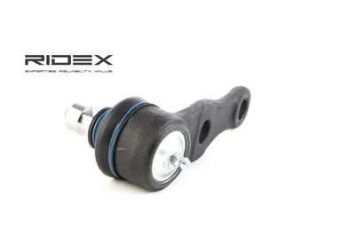 Produktbild von RIDEX Traggelenk Unten Vorne für KIA CARENS II (FJ) 2462S0141