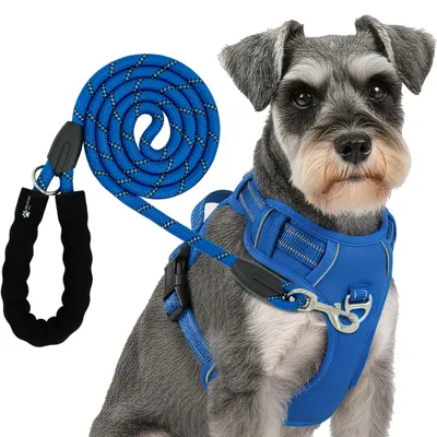 Produktbild von Reichstadt  Hundegeschirr 25RSP083-4 Blue L