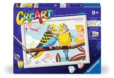 Produktbild von Ravensburger CreArt - MNZ - Lovely Budgies, Farben enthalten, Malen nach Zahlen Set