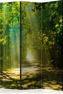 Obrázek produktu pro Jednostranný paraván Krajiny 135x172 cm třídílný zelený