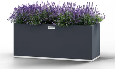 Produktbild von Pflanzenkübel Coyotto 120 x 40 x 75 cm Stahl Grau