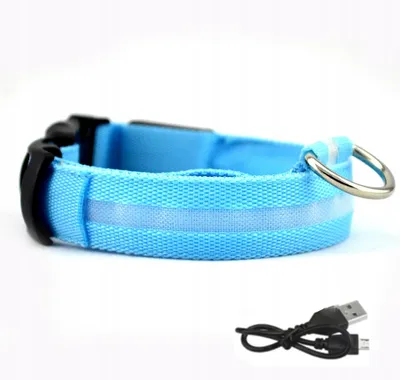 Immagine prodotto di Collare per cani LED impermeabile cavo USB BLU XL 52-60cm