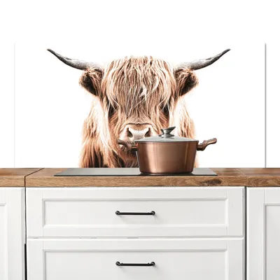 Produktbild von KitchenYeah®  Spritzschutz Küche - Küchenrückwand - Wandschutz für Herd und Spüle - Schottisches Hochlandrind - Kuh - Tiere 120x60 - Alu-Dibond (Alternative zum Spritzschutz aus Glas) - Hitzebeständig