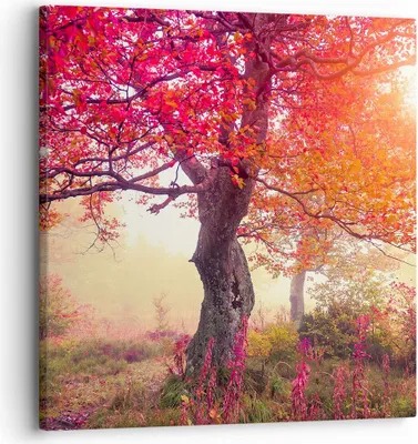 Produktbild von Bild auf Leinwand - Leinwandbild - Baum Natur Wiese - 30x30cm - Wand Bild - Wanddeko - Wandbilder - Leinwanddruck - Bilder - Kunstdruck - Wanddekoration - Leinwand bilder - Wandkunst - AC30x30-3658