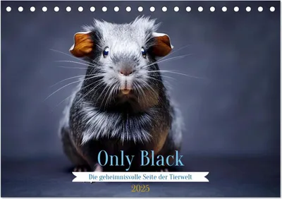 Produktbild von Only Black (Tischkalender 2025 DIN A5 quer), CALVENDO Monatskalender