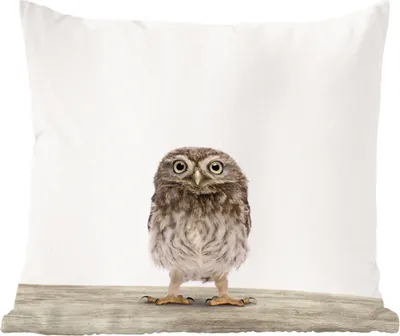 Produktbild von MuchoWow® Zierkissen Sofakissen Wohnzimmer Dekokissen 60x60 cm Tiere - Weiß - Eule - Sitzfläche - Foto Polster