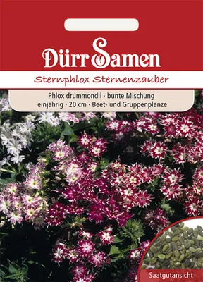Produktbild von Flammenblume Mischung | Flammenblumensamen von Dürr Samen