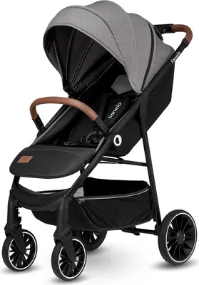 Produktbild von Lionelo Alexia Kinderwagen mit liegeposition Buggy Kinderbuggy Kindersportwagen Grau