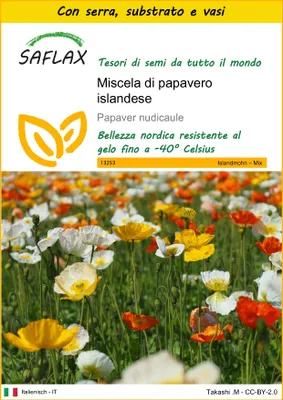 Immagine prodotto di SAFLAX Insieme di coltivazione - Miscela di papavero islandese - 8000 semi - Papaver