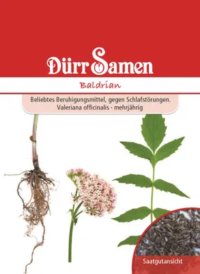 Produktbild von Baldrian | Heilpflanzensamenvon Dürr Samen