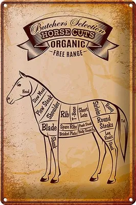 Produktbild von Blechschild Pferd 20x30cm Horse cuts Organic Metzgerei
