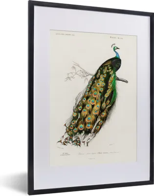 Produktbild von MuchoWow® MuchoWow® Gerahmtes Poster Vogel - Pfau - Vintage 30x40 cm - Poster mit zchwarzem Bilderrahmen - Wandposter Schlafzimmer