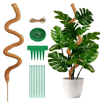 Produktbild von Moosstab für Monstera, 130 cm, mit Zubehör für Pflanzenstütze im Innenbereich