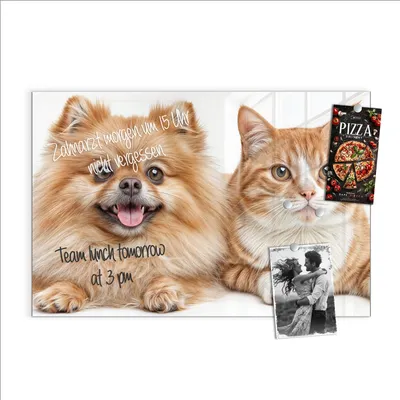 Produktbild von Magnettafel 60x40cm Pinnwand Whiteboard beschreibbar - Hund und Katze