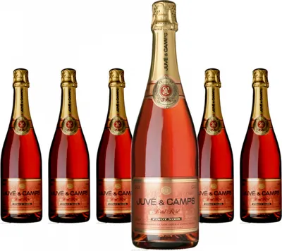 Produktbild von 6 x Juvé & Camps Cava Pinot Noir Rosé Brut