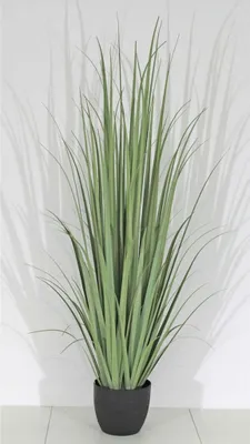 Produktbild von Velda Kunstpflanze Sumpf-Gladiole Größe M 8850999
