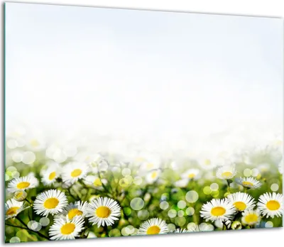 Obrázek produktu pro Kryt varné desky Skleněný kryt varné desky Splashback 60x52cm Květiny