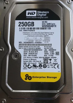 Image de Western Digital WD2503ABYX 250GB SATA 3,5