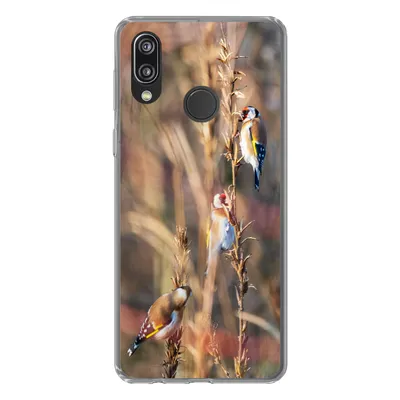 Produktbild von MuchoWow® Handyhülle Schutzhülle Hülle für Huawei P20 Lite (2020) Vögel - Äste - Wald Silikon Softcase Handy Hülle - Kartenhalter