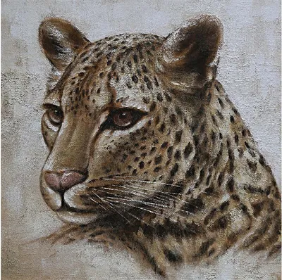 Produktbild von Leinwandbild - Motiv: Gepard - 100 x 100cm