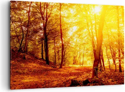 Produktbild von Bild auf Leinwand - Leinwandbild - Wald Baum Natur - 120x80cm - Wand Bild - Wanddeko - Wandbilder - Leinwanddruck - Bilder - Kunstdruck - Wanddekoration - Leinwand bilder - Wandkunst - AA120x80-3722
