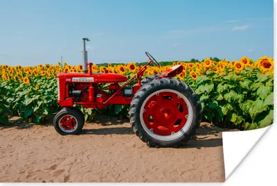Produktbild von MuchoWow® Poster Traktor - Rot - Sonnenblume - Bauernhof - Blumen 180x120 cm - Fotoplakat